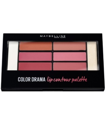 Lot de 48 Palettes Lèvres...