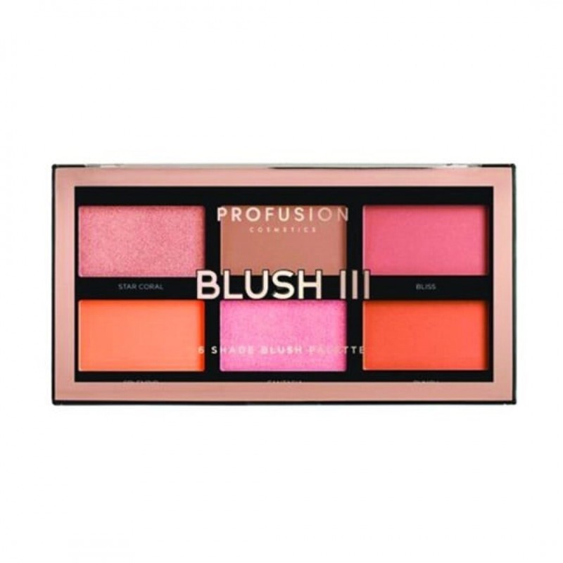 Lot de 24 PROFUSION BLUSH IIII PALETTE
